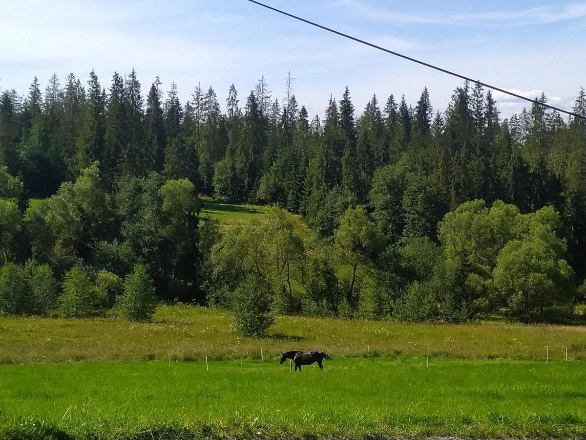 Domek U Mrugaly Poronin Exteriör bild